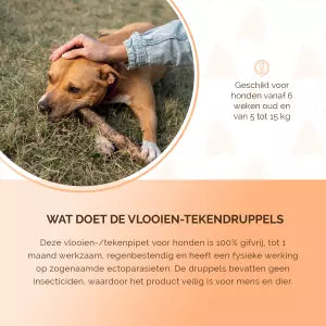 🐾 Natuurlijke Vlooien- en Tekenpipet voor Honden (5 tot 15 kg) – Knock Pest