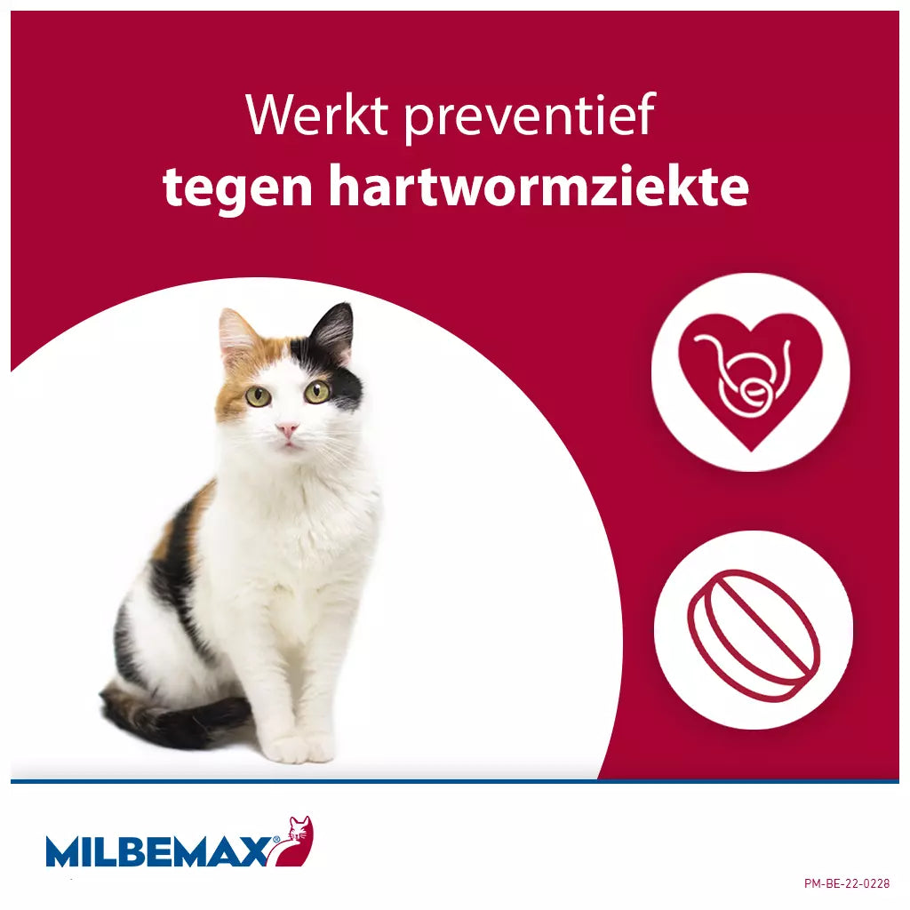 🐾 Milbemax Tabletten Kitten/Kat Klein R 0,5-2kg 2 tabl.