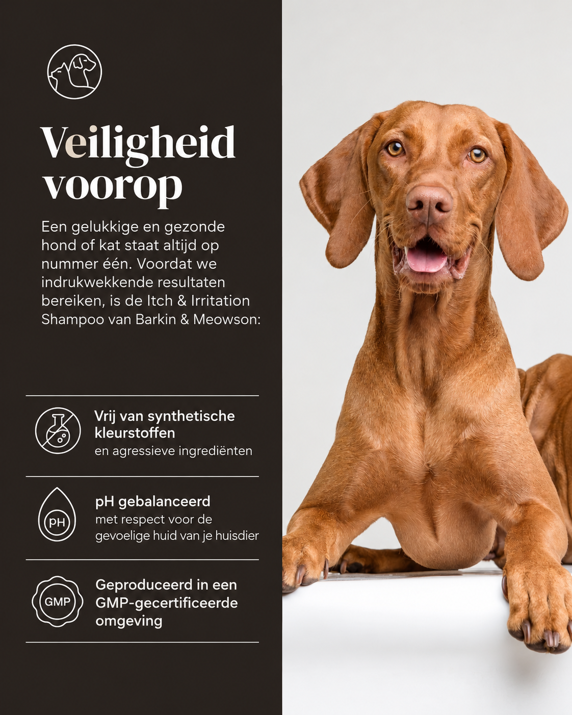 🐾 MedExpert Chlorhexidine Shampoo voor Honden 350 ml | Barkin & Meowson