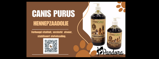De voordelen van hennepzaadolie voor jouw hond: een natuurlijke boost met Canis Purus