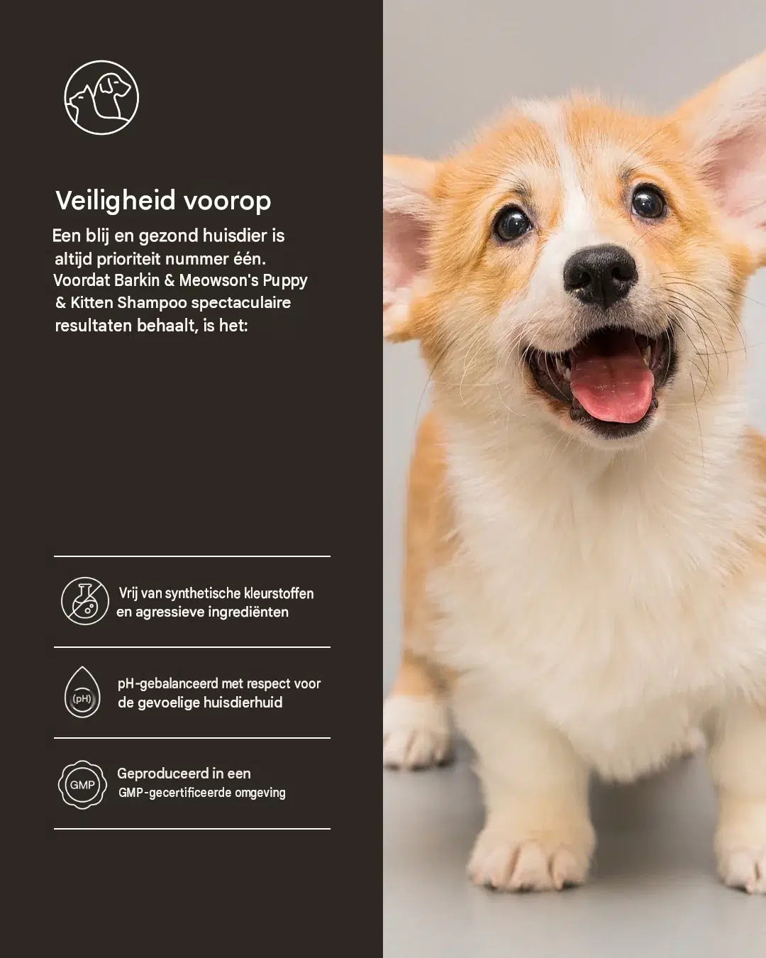 🐾 Zachte Havermoutshampoo voor Puppy’s & Kittens 350 ml | Barkin & Meowson