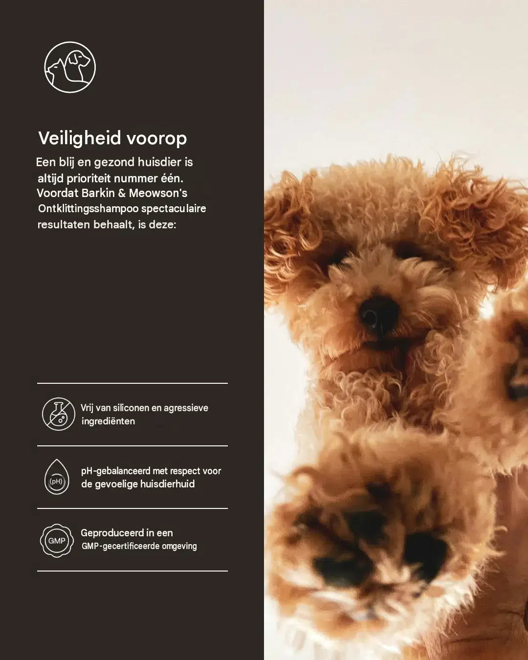 🐾 Ontklittende Hondenshampoo voor Krullende Vachten 350 ml | Barkin & Meowson