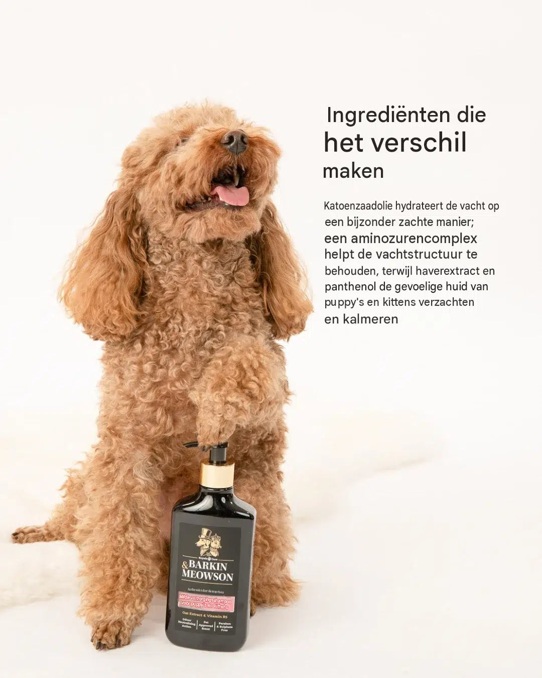 🐾 Zachte Havermoutshampoo voor Puppy’s & Kittens 350 ml | Barkin & Meowson