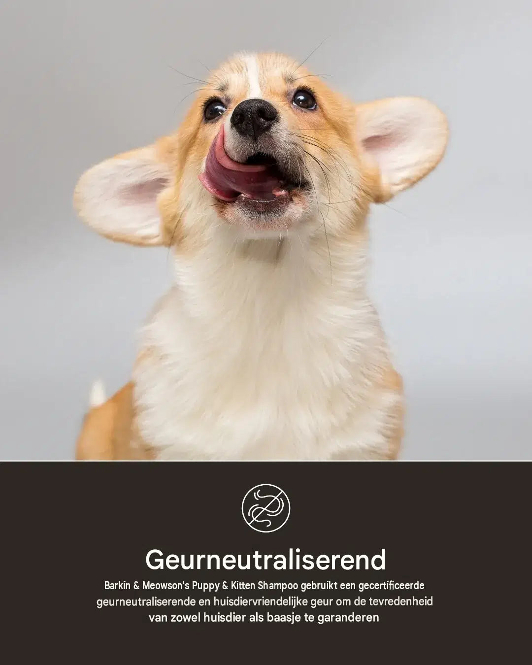 🐾 Zachte Havermoutshampoo voor Puppy’s & Kittens 350 ml | Barkin & Meowson