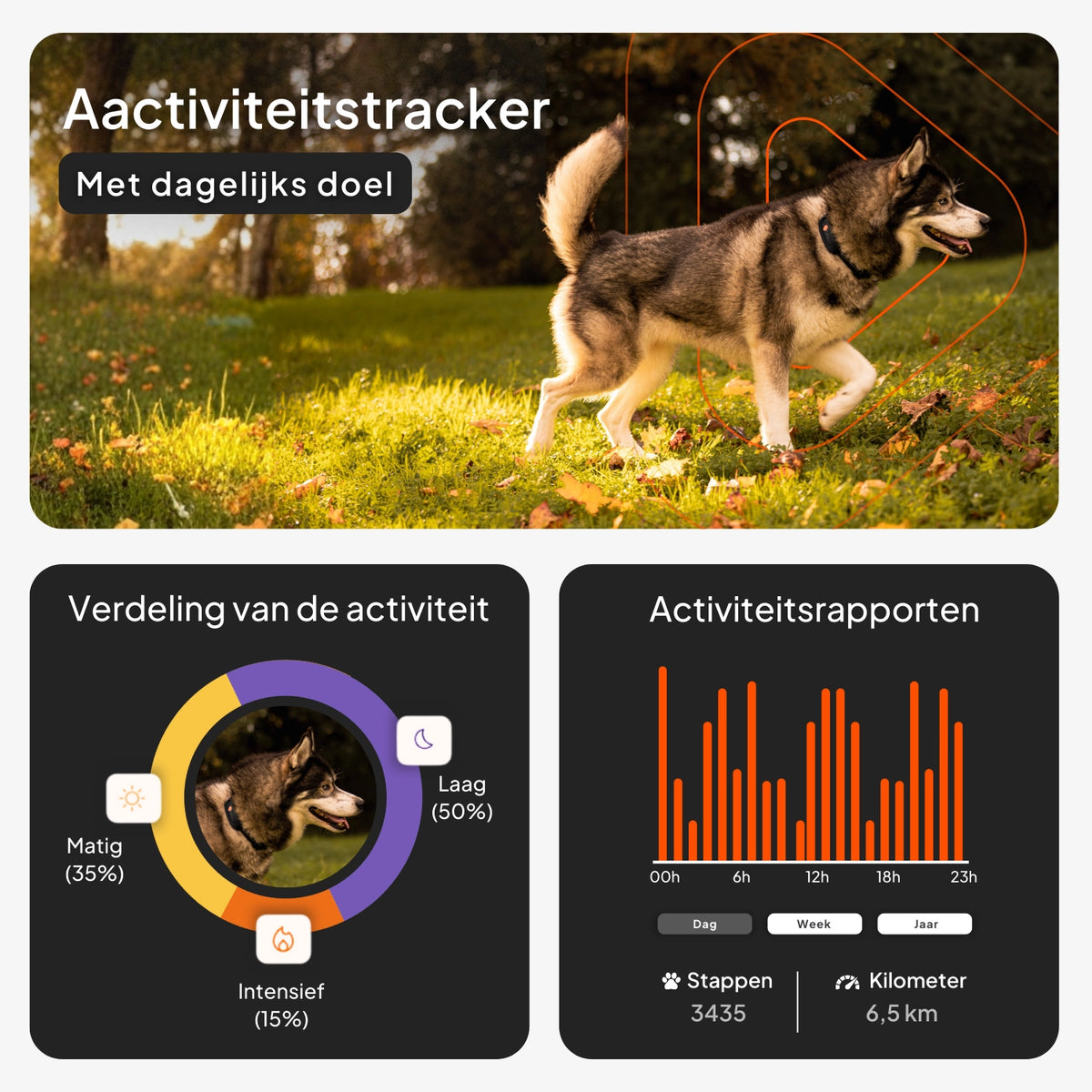 🐶📍Weenect XT GPS Tracker voor Honden