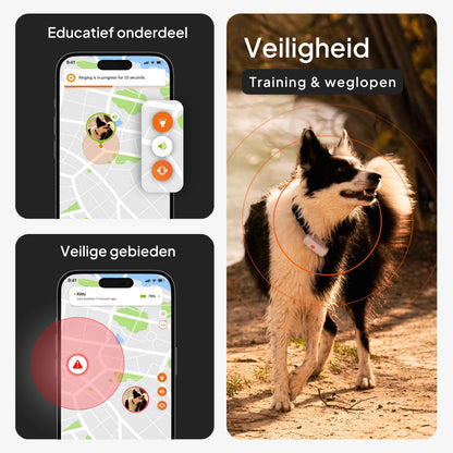 🐶📍 Weenect XS Mini GPS Tracker voor Kleine Honden