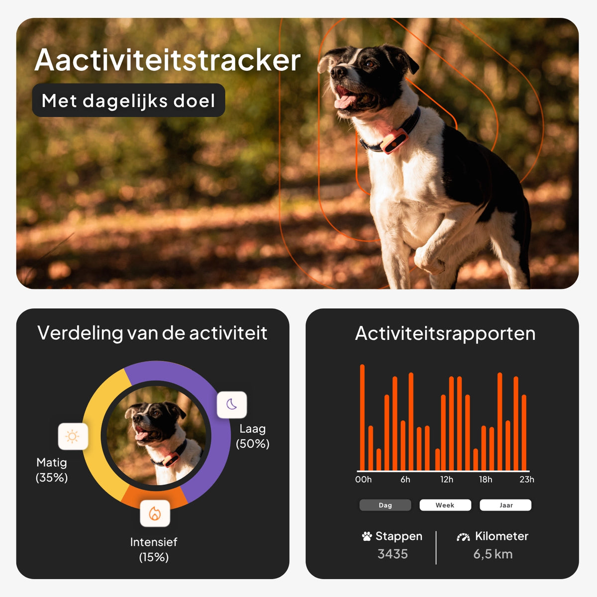 🐶📍 Weenect XS Mini GPS Tracker voor Kleine Honden