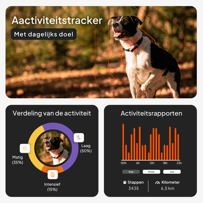 🐶📍 Weenect XS Mini GPS Tracker voor Kleine Honden