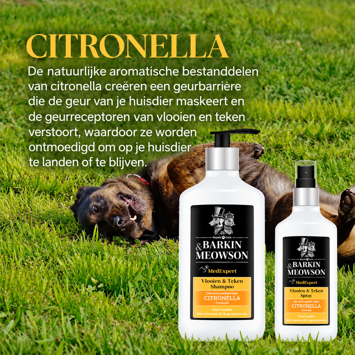 🐾 Vlooien- & Teken Shampoo voor Honden 350 ml | Barkin & Meowson