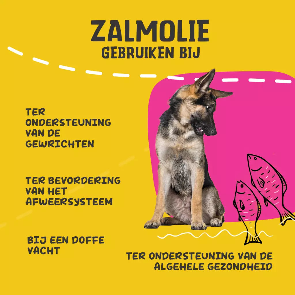 Excellent Pets Salmon Oil – Zalmolie voor Honden