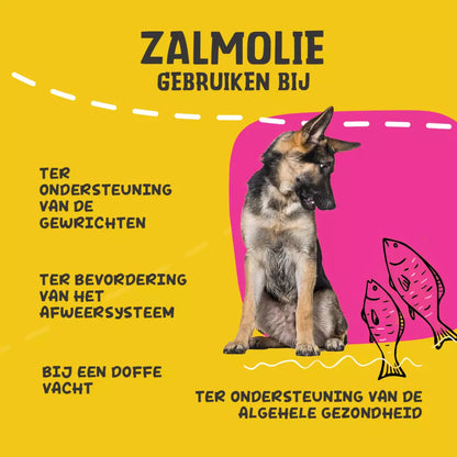 Excellent Pets Salmon Oil – Zalmolie voor Honden
