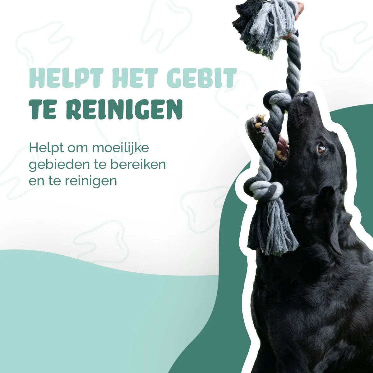Floss Toss Dental Rope 85 cm | Flostouw met 4 Knopen voor Honden
