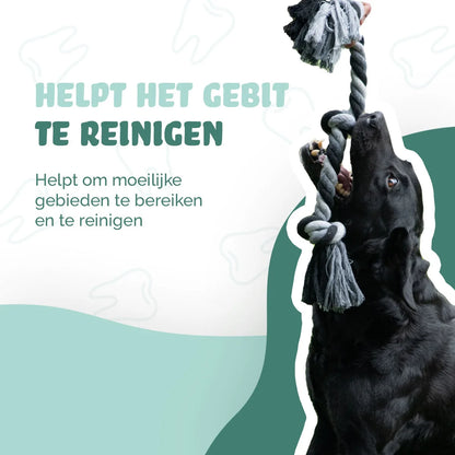 Floss Toss Dental Rope 85 cm | Flostouw met 4 Knopen voor Honden