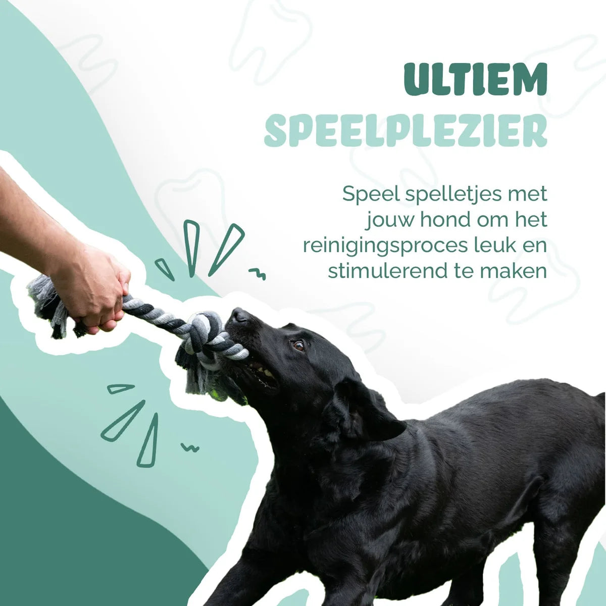 Floss Toss Dental Rope 85 cm | Flostouw met 4 Knopen voor Honden
