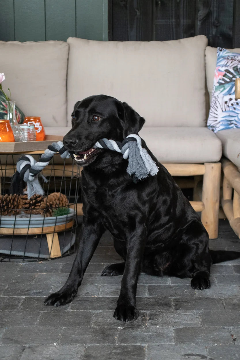 Floss Toss Dental Rope 85 cm | Flostouw met 4 Knopen voor Honden