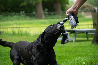 Floss Toss Dental Rope 85 cm | Flostouw met 4 Knopen voor Honden