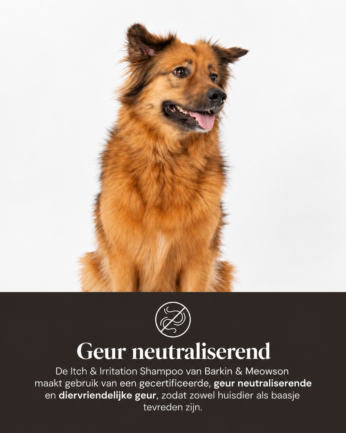 🐾 MedExpert Chlorhexidine Shampoo voor Honden 350 ml | Barkin & Meowson