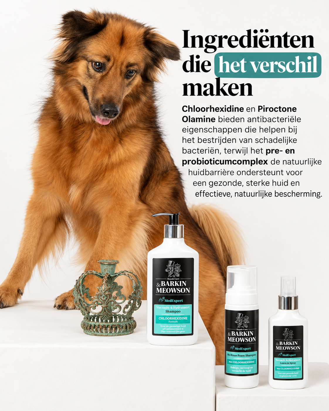 🐾 MedExpert Chlorhexidine Shampoo voor Honden 350 ml | Barkin & Meowson