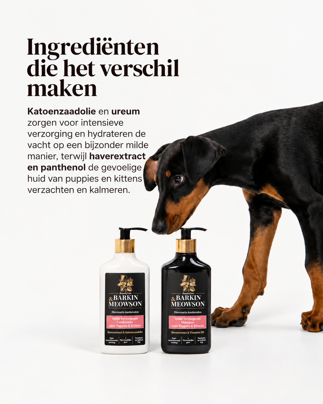 🐾 Gentle Care Conditioner voor Puppy’s & Kittens 350 ml | Barkin & Meowson