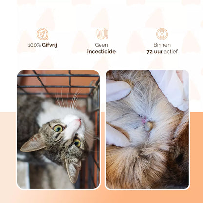 🐾🐱 Natuurlijke Vlooien- en Tekenpipet voor Katten