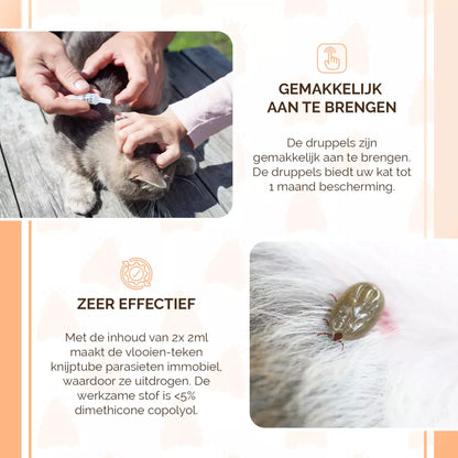 🐾🐱 Natuurlijke Vlooien- en Tekenpipet voor Katten