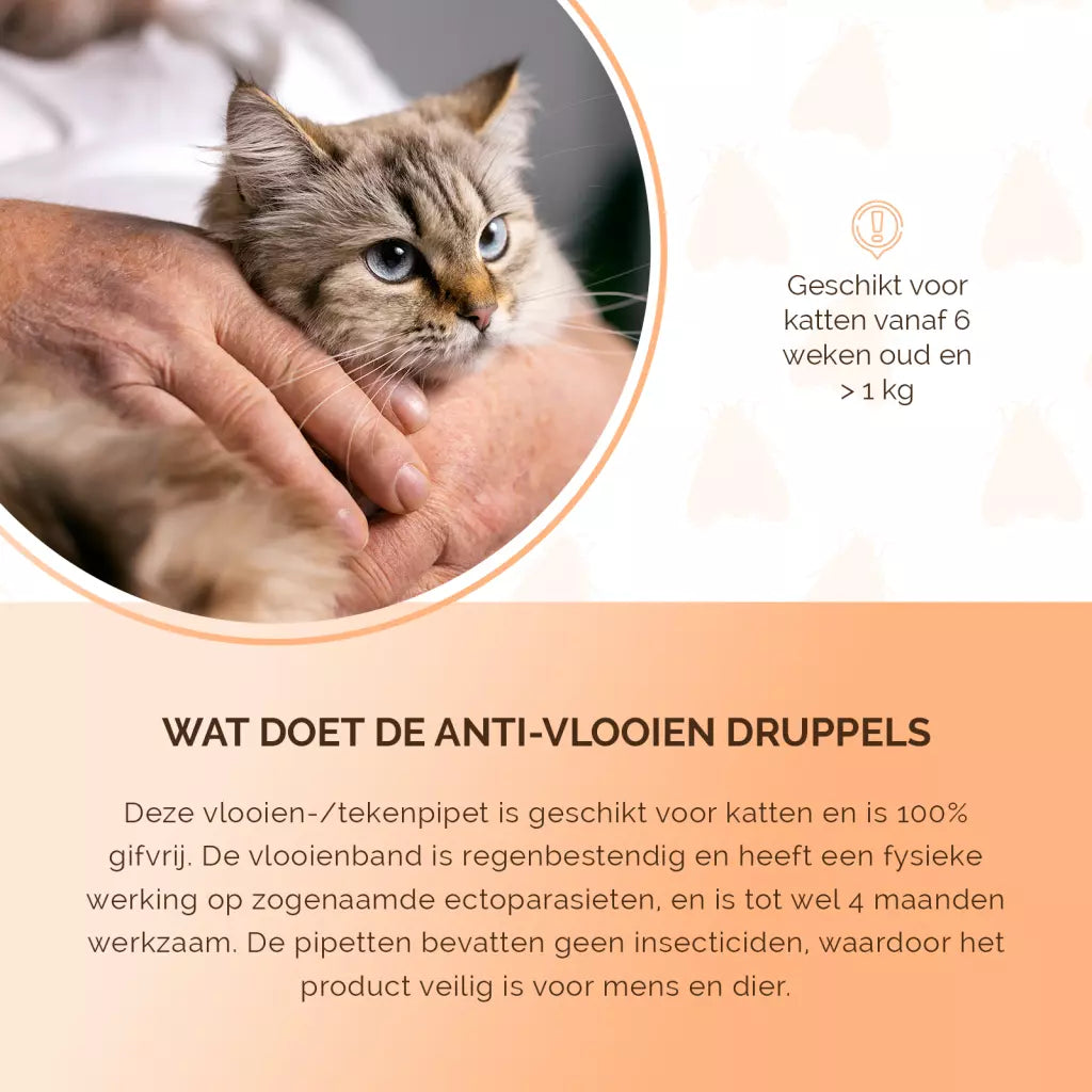 🐾🐱 Natuurlijke Vlooien- en Tekenpipet voor Katten