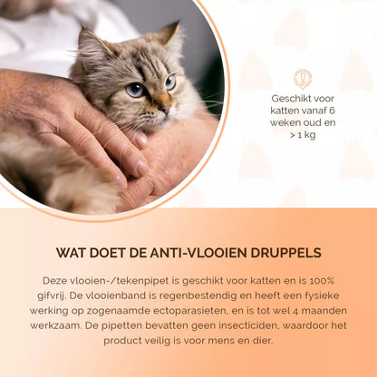 🐾🐱 Natuurlijke Vlooien- en Tekenpipet voor Katten