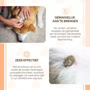 🐾 Natuurlijke Vlooien- en Tekenpipet voor Honden (5 tot 15 kg) – Knock Pest