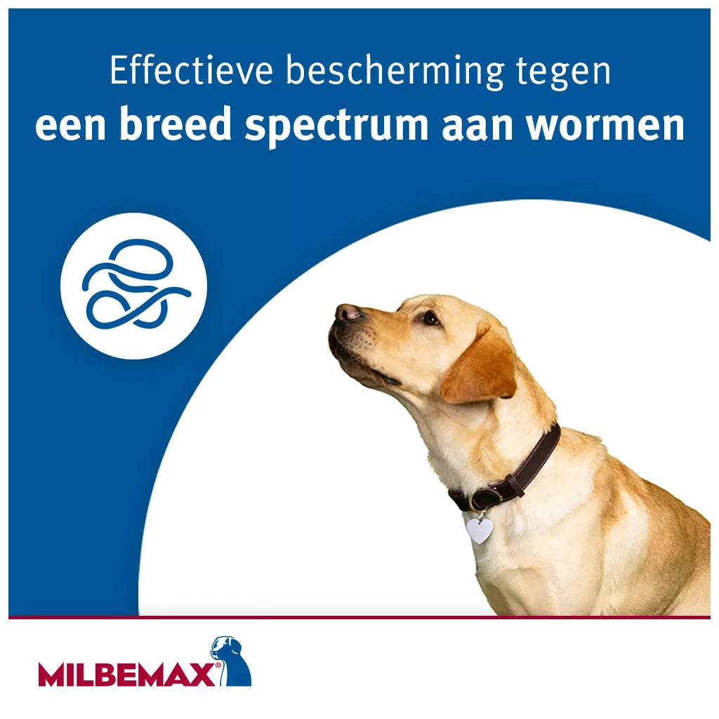 🐾 Milbemax Tabletten Puppy/Kleine hond <5kg 4 tabl.