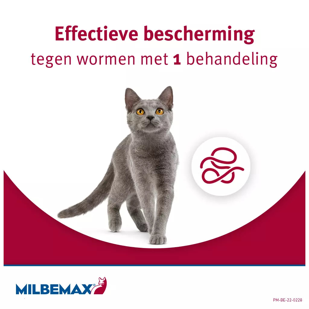 🐾 Milbemax Tabletten Kitten/Kat Klein R 0,5-2kg 2 tabl.