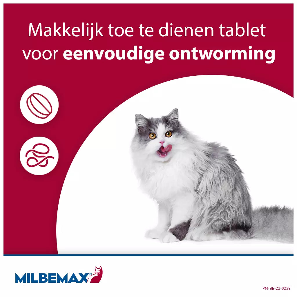 🐾 Milbemax Tabletten Kitten/Kat Klein R 0,5-2kg 2 tabl.