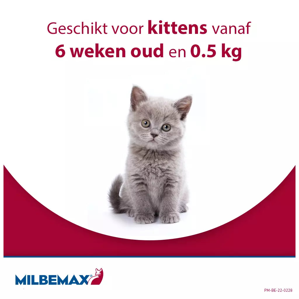 🐾 Milbemax Tabletten Kitten/Kat Klein R 0,5-2kg 2 tabl.