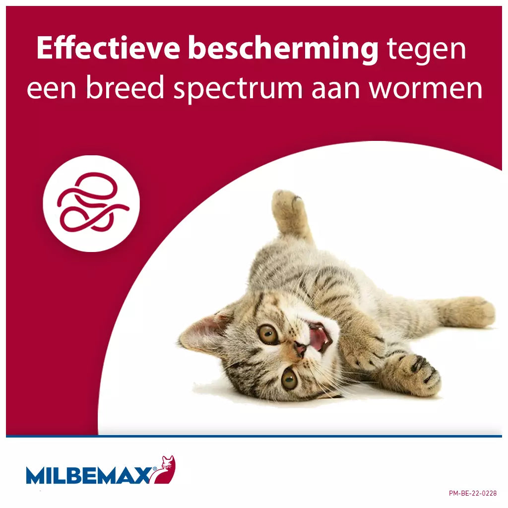 🐾 Milbemax Tabletten Kitten/Kat Klein R 0,5-2kg 2 tabl.