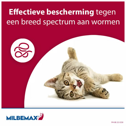 🐾 Milbemax Tabletten Kitten/Kat Klein R 0,5-2kg 2 tabl.