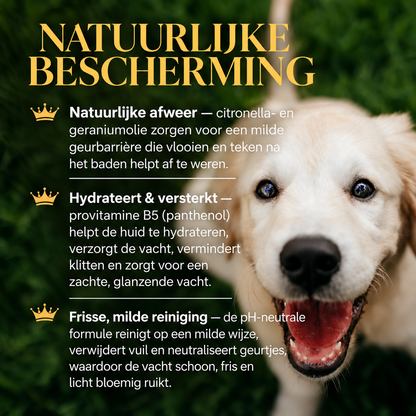 🐾 Vlooien- & Teken Shampoo voor Honden 350 ml | Barkin & Meowson