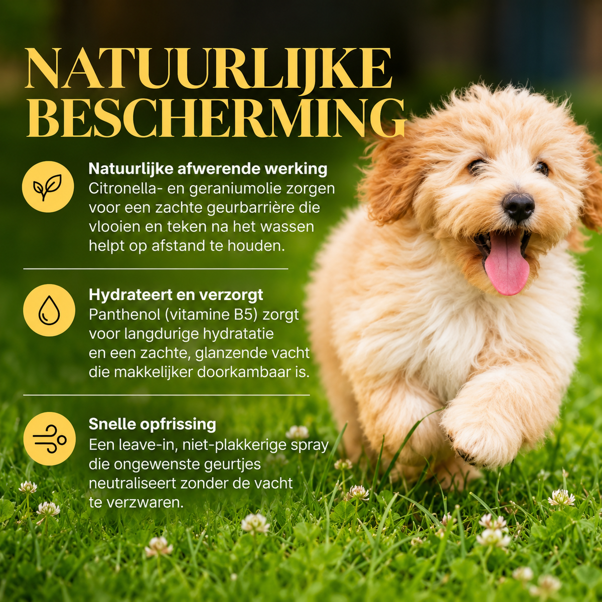 🐾 MedExpert Vlooien- & Tekenspray met Citronella voor Honden 150 ml | Barkin & Meowson