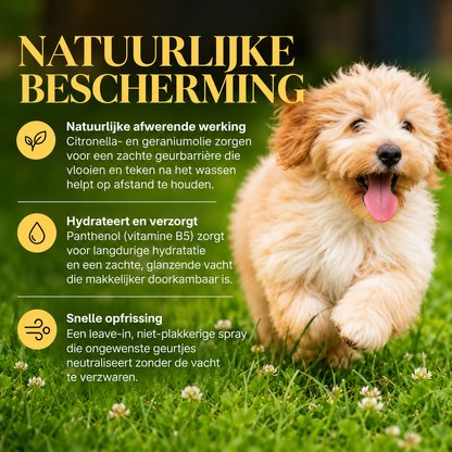 🐾 MedExpert Vlooien- & Tekenspray met Citronella voor Honden 150 ml | Barkin & Meowson