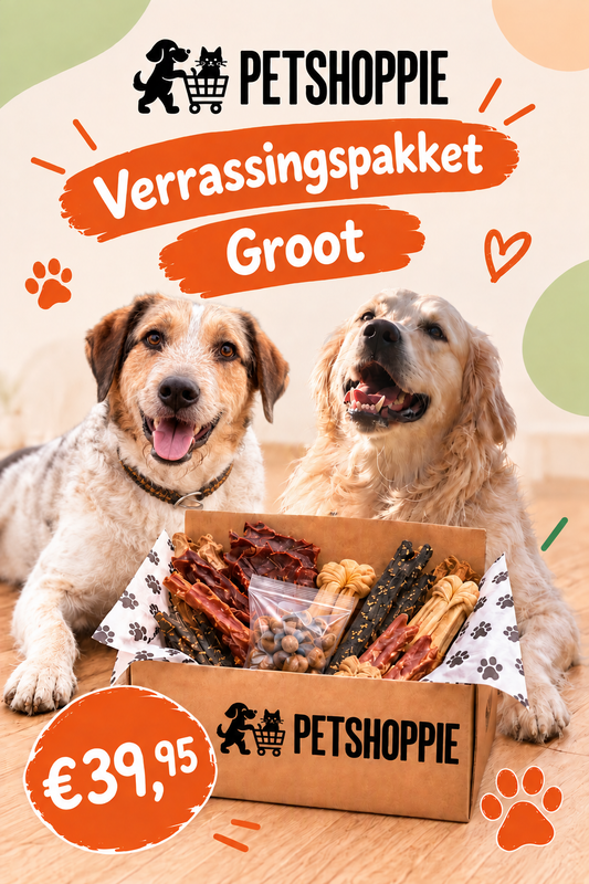 🎁🐶 Petshoppie Verrassingspakket Groot